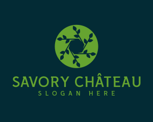 Hexagon Leaf Plant logo design