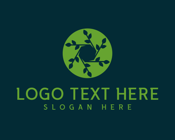 Hexagon logo example 2