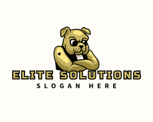 Bulldog Sunglass Gang logo