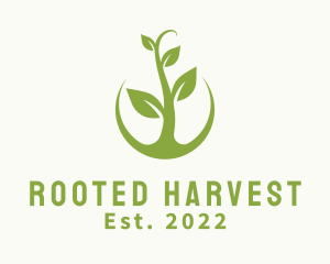 Eco Agriculture Plant logo design