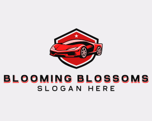 Sports Car Detailing logo design