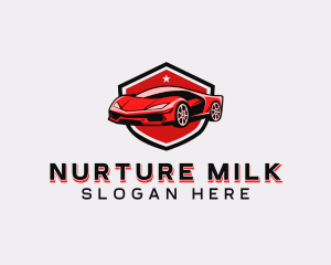 Sports Car Detailing logo design