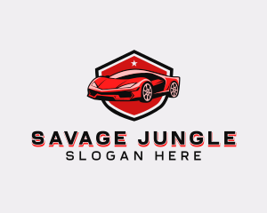 Sports Car Detailing logo design