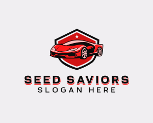 Sports Car Detailing logo design