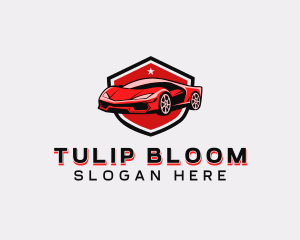 Sports Car Detailing logo design