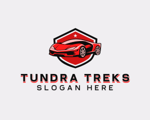 Sports Car Detailing logo design