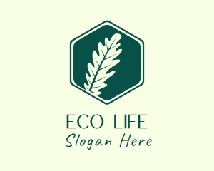 Hexagon Fern Leaf logo design