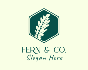 Hexagon Fern Leaf logo