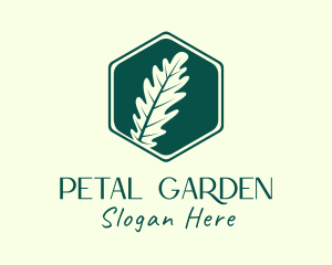 Hexagon Fern Leaf logo design