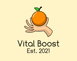 Handpicked Orange Fruit  logo