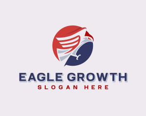 Eagle Air Force USA logo design