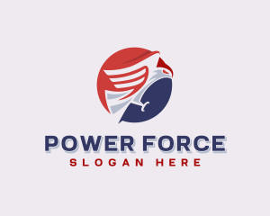 Eagle Air Force USA logo design