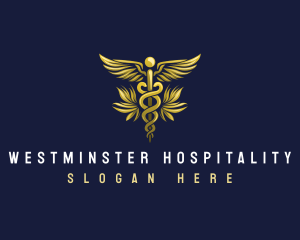 Caduceus Medical Hospital logo design