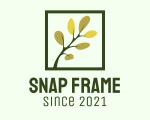 Tree Branch Frame logo design