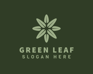 Green Leaf Botanical logo design