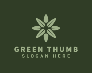 Green Leaf Botanical logo design