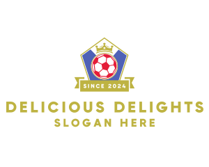Sport Soccer Ball  logo design
