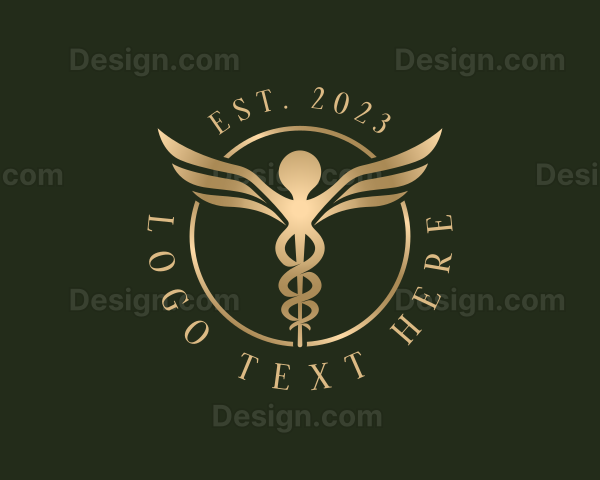 Medical Healthcare Caduceus Logo