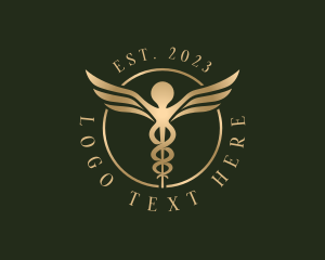 Medical Healthcare Caduceus logo
