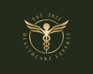 Medical Healthcare Caduceus logo design