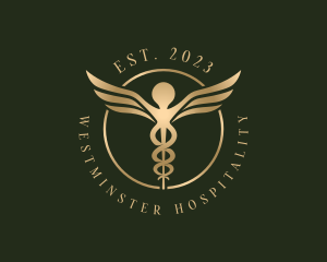 Medical Healthcare Caduceus logo design