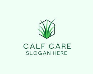 Natural Grass Care logo design