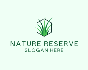 Natural Grass Care logo design