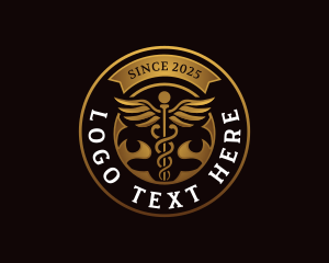 Caduceus Wellness  Hospital logo