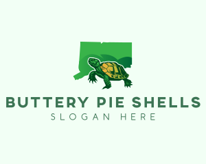 Connecticut Turtle Reptile logo design