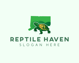 Connecticut Turtle Reptile logo design