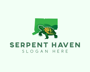 Connecticut Turtle Reptile logo design