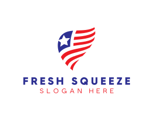 Simple American Flag  logo design