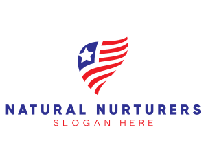 Simple American Flag  logo design