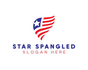 Simple American Flag  logo design