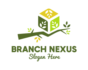Eco Branch Box logo