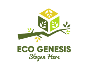 Eco Branch Box logo design