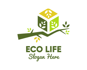 Eco Branch Box logo design