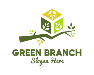 Eco Branch Box logo design