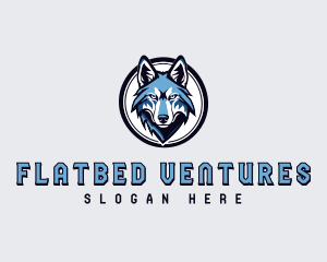 Sports Team Wolf logo design