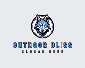 Sports Team Wolf logo design