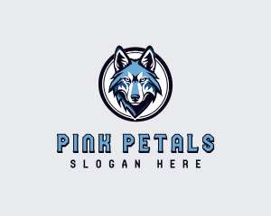 Sports Team Wolf logo design