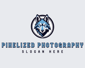 Sports Team Wolf logo design