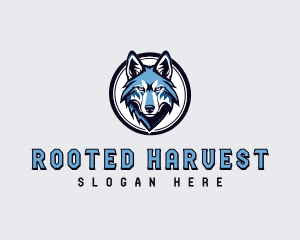 Sports Team Wolf logo design