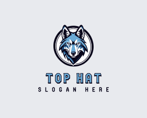 Sports Team Wolf logo design