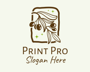 Brown Olive Branch logo design