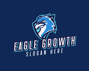 Eagle Sports Team logo