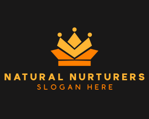 Geometric Crown logo design