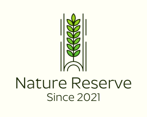 Nature Tree Plant logo design