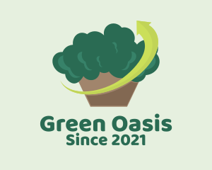 Brocolli Vegetable Grocery  logo design