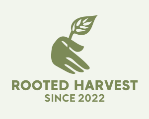 Plant Sprout Hand  logo design